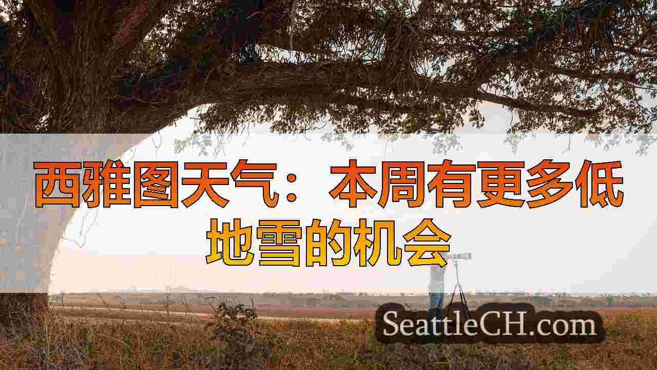 西雅图新闻 SeattleCH