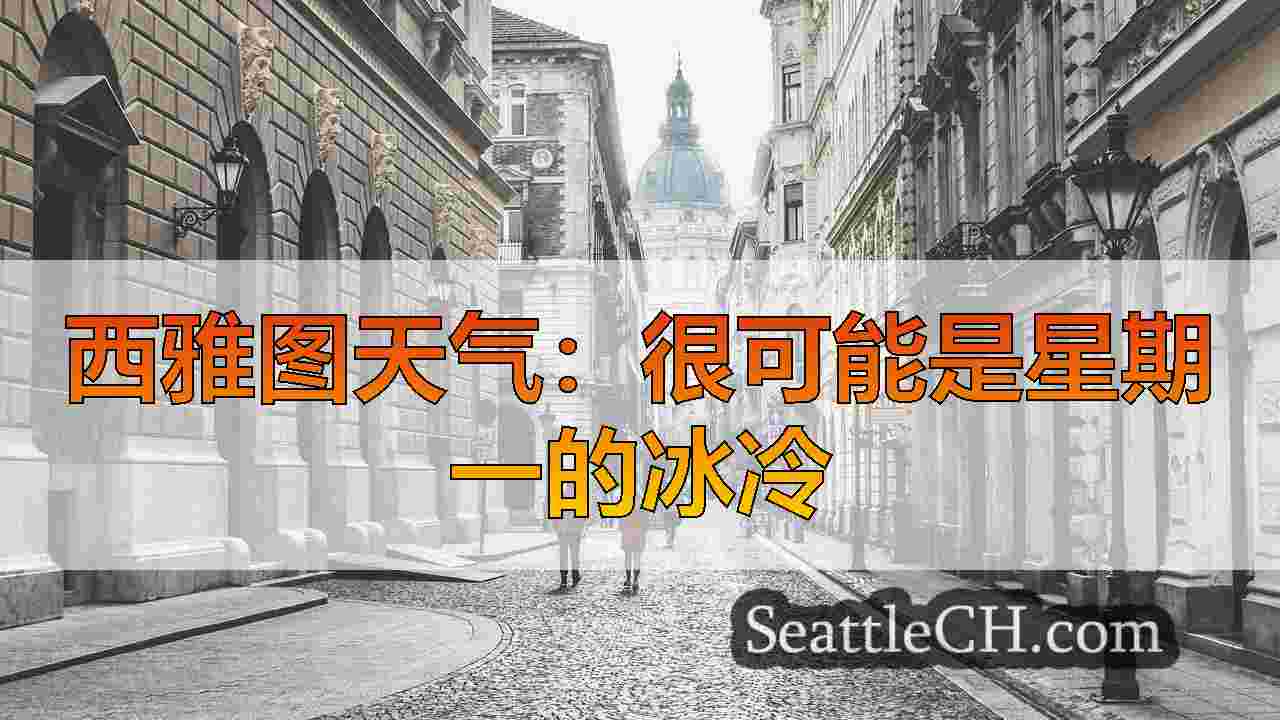 西雅图新闻 SeattleCH