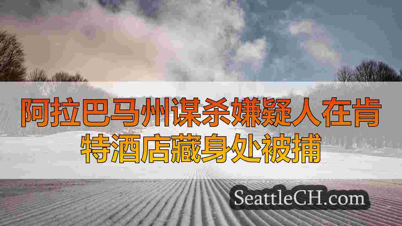 西雅图新闻 SeattleCH