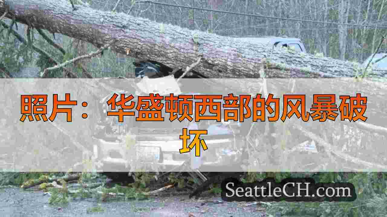 西雅图新闻 SeattleCH