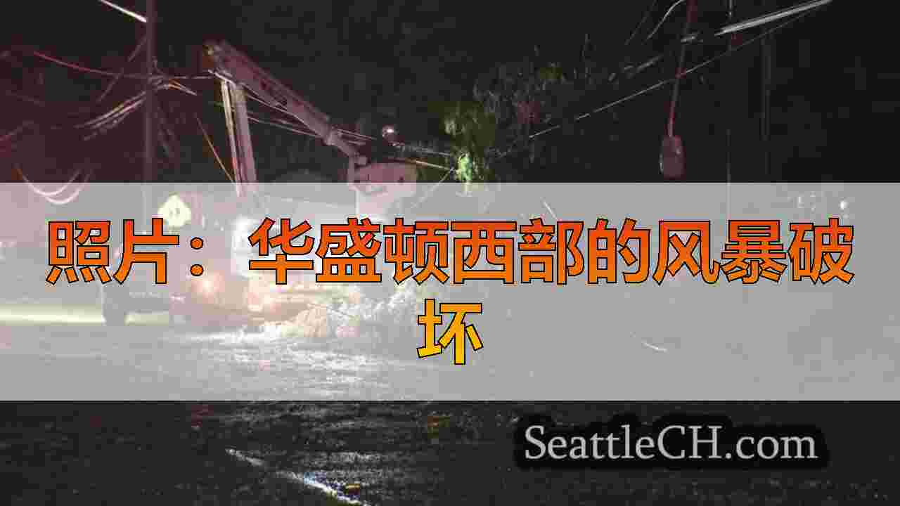照片：华盛顿西部的风暴破坏