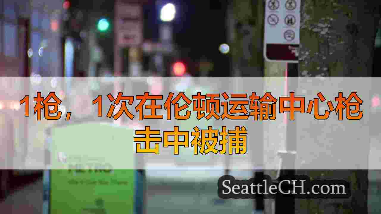 1枪，1次在伦顿运输中心枪击中被捕