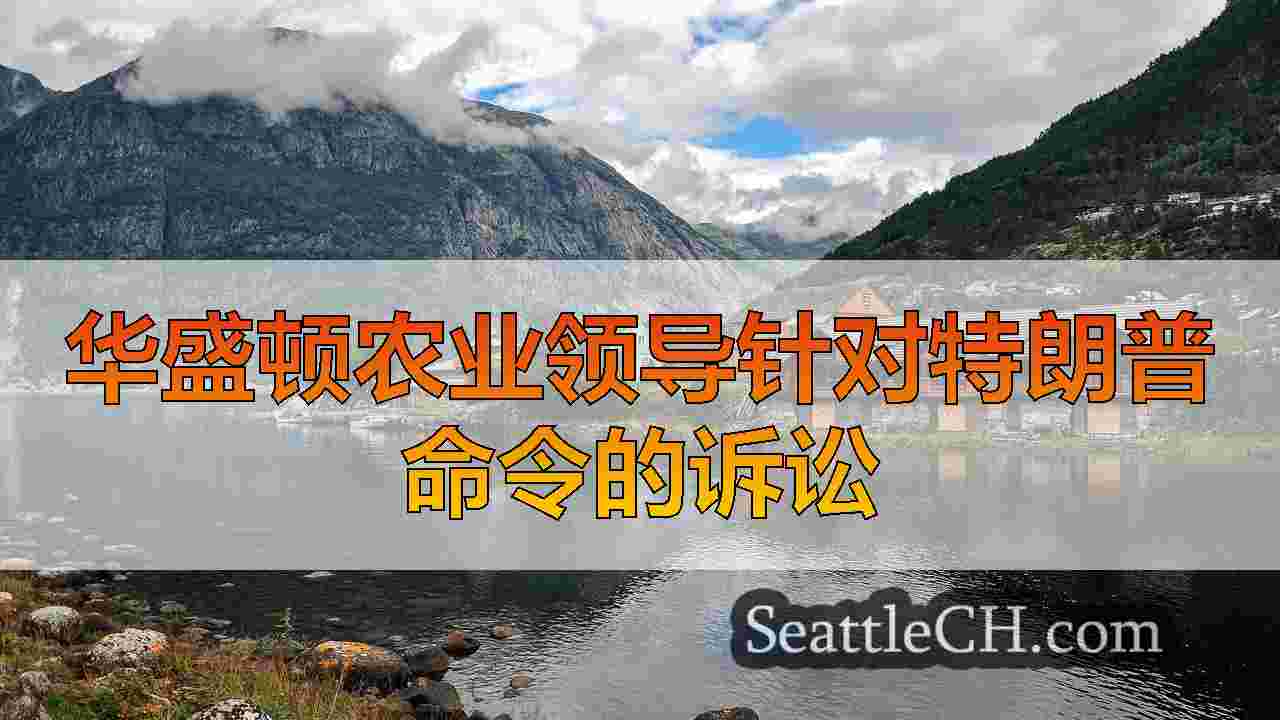 西雅图新闻 SeattleCH
