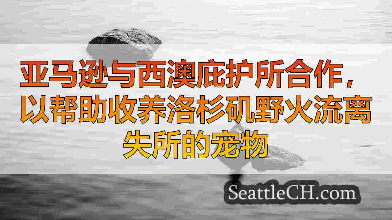 西雅图新闻 SeattleCH