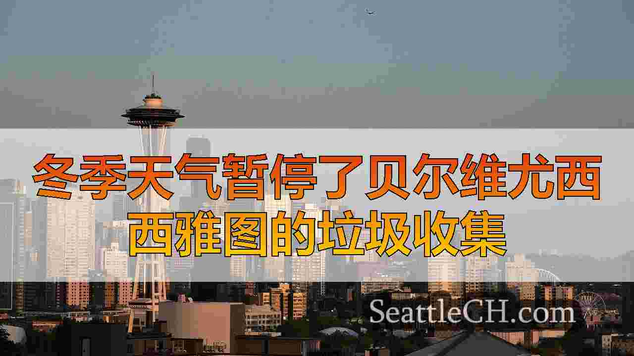 西雅图新闻 SeattleCH