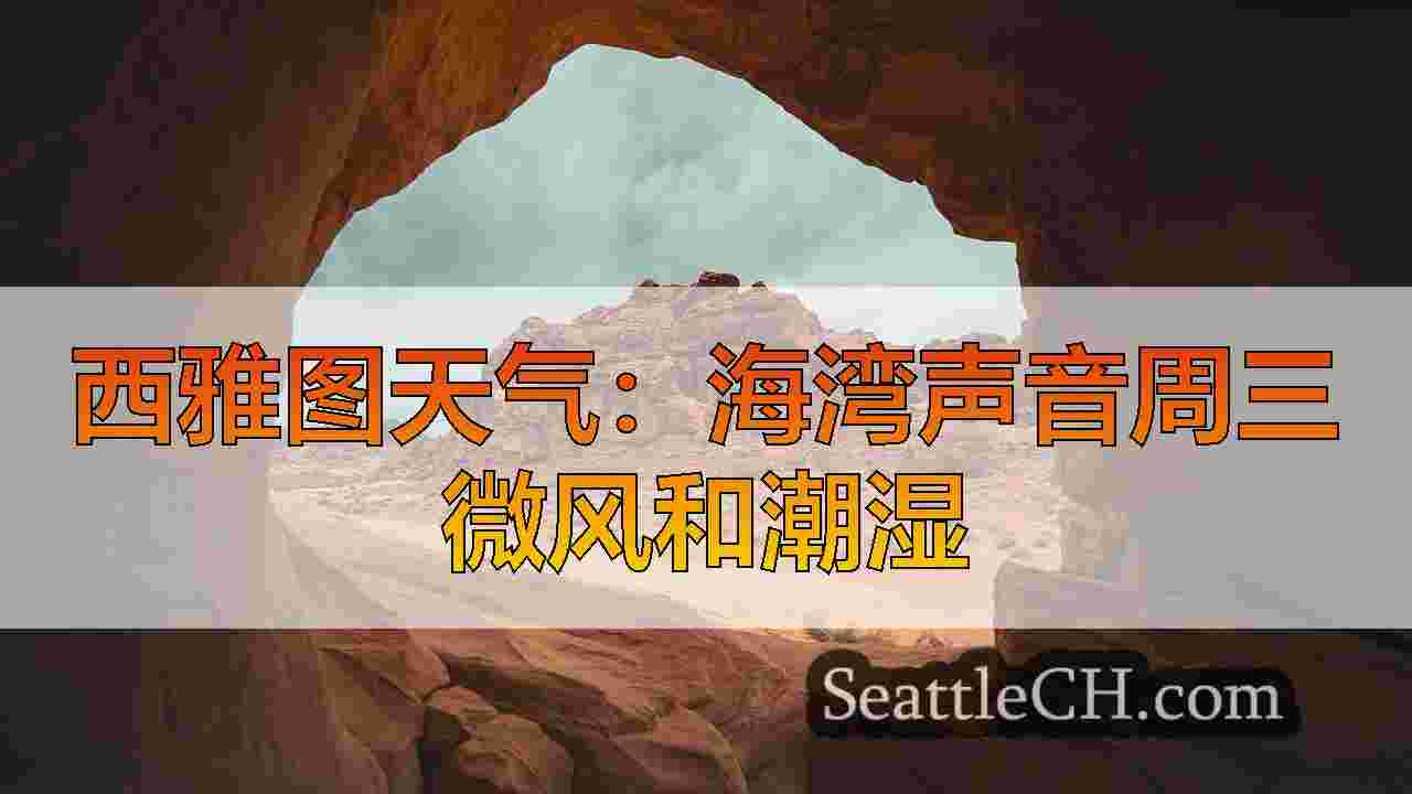 西雅图新闻 SeattleCH