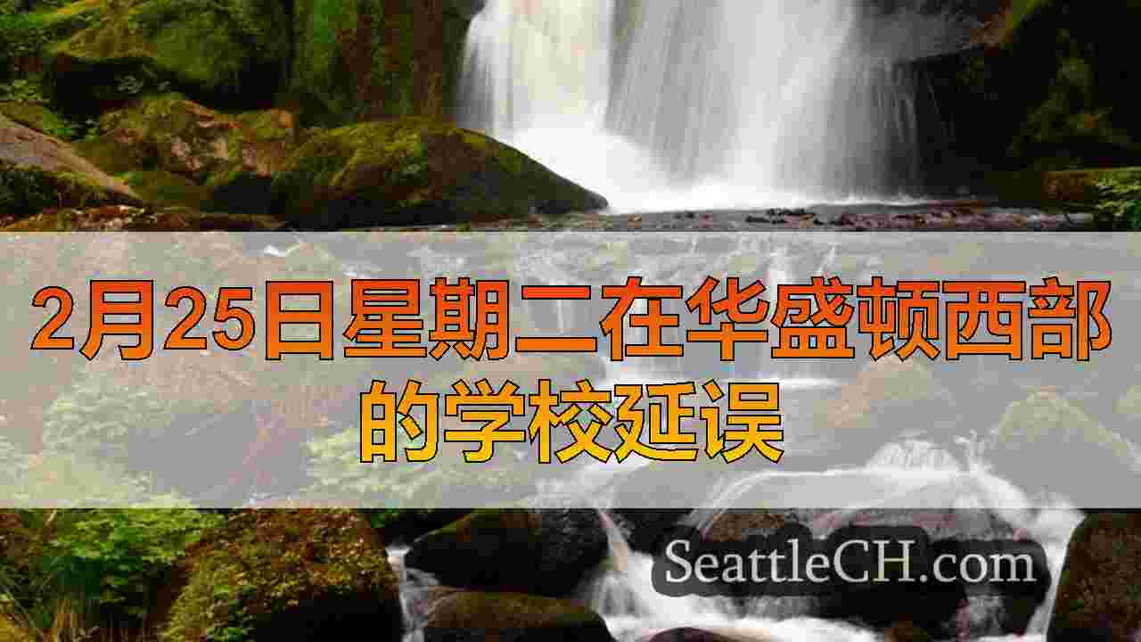 西雅图新闻 SeattleCH