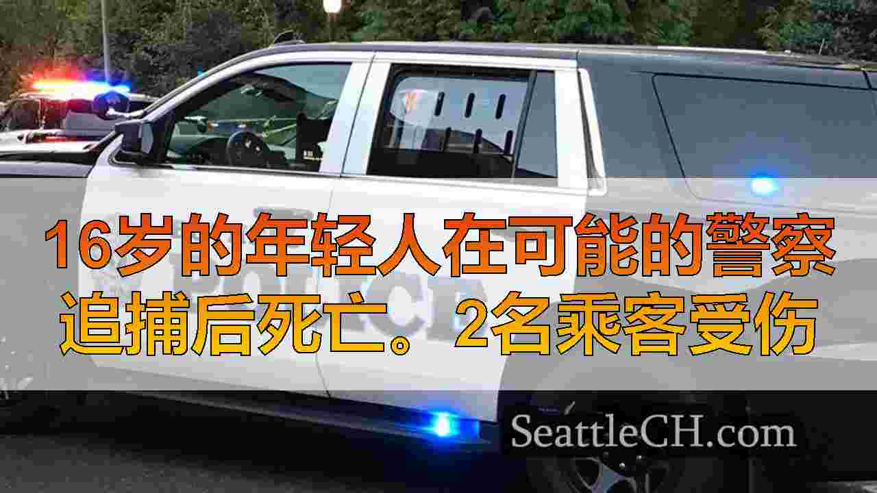 16岁的年轻人在可能的警察追捕后死亡。2名乘客受伤