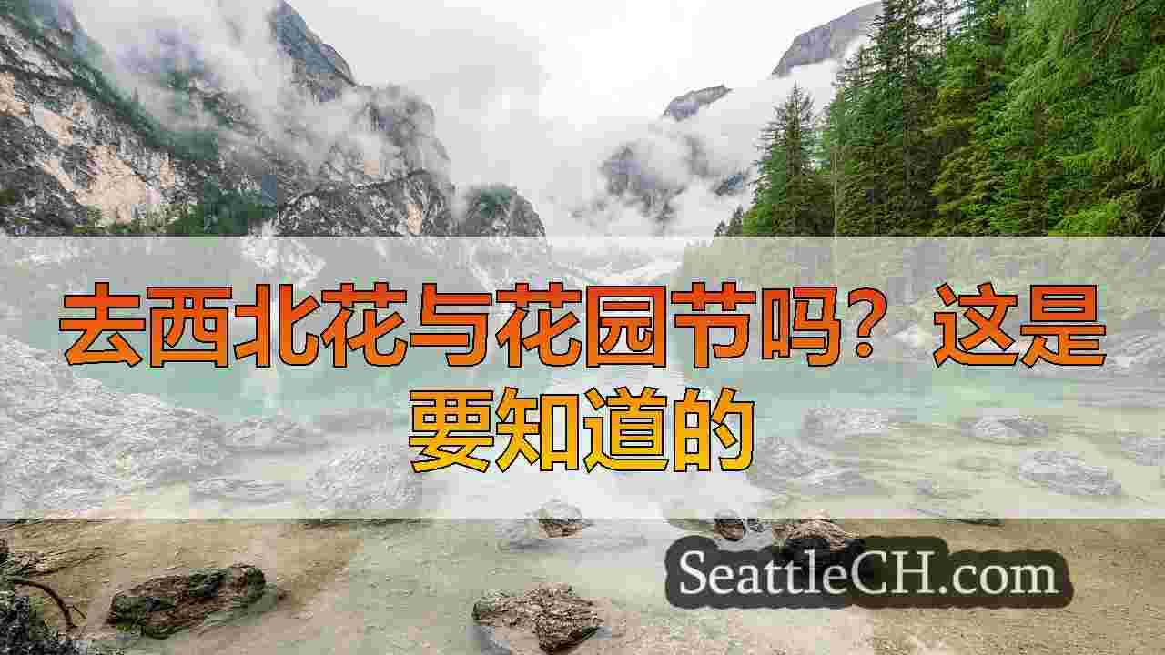 西雅图新闻 SeattleCH