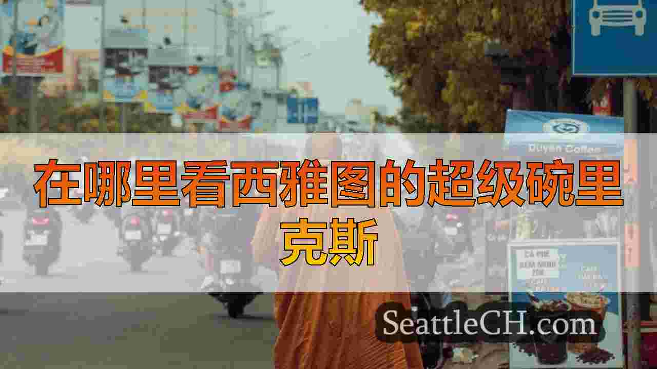 在哪里看西雅图的超级碗里克斯