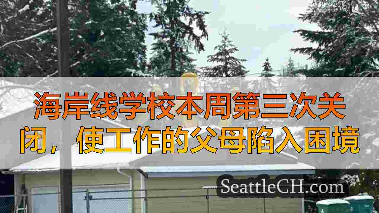 西雅图新闻 SeattleCH
