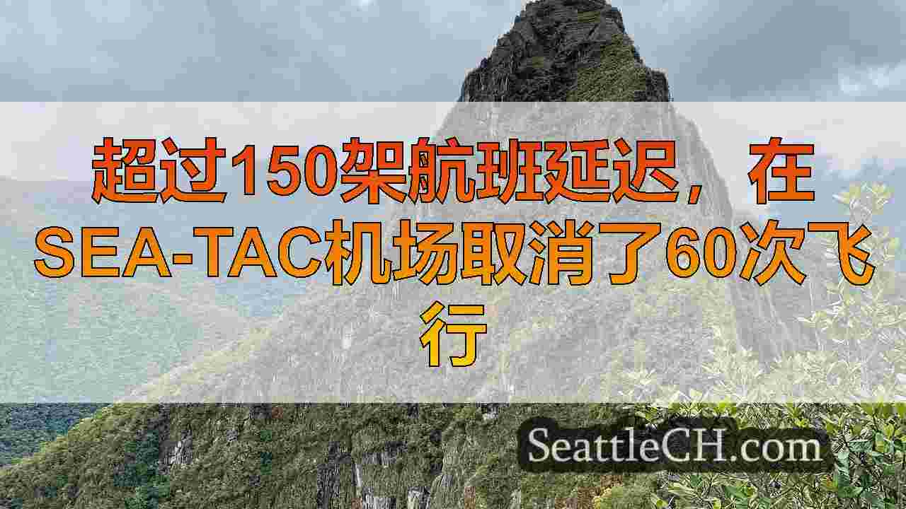 西雅图新闻 SeattleCH