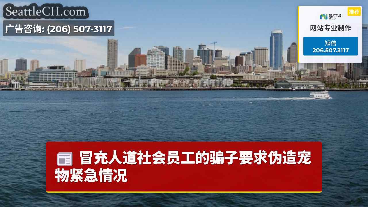 西雅图新闻 SeattleCH
