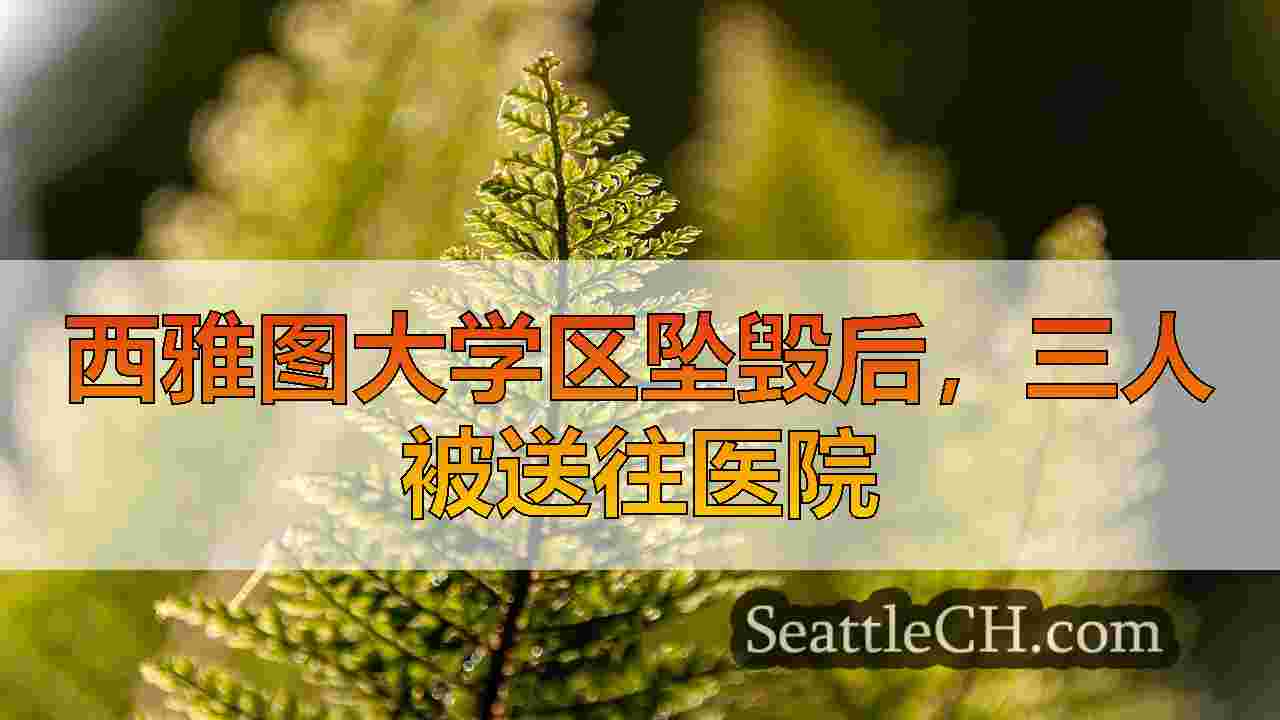 西雅图新闻 SeattleCH