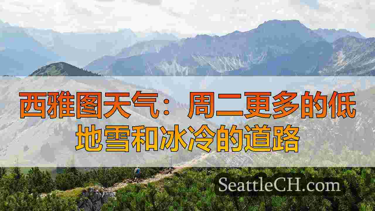 西雅图新闻 SeattleCH