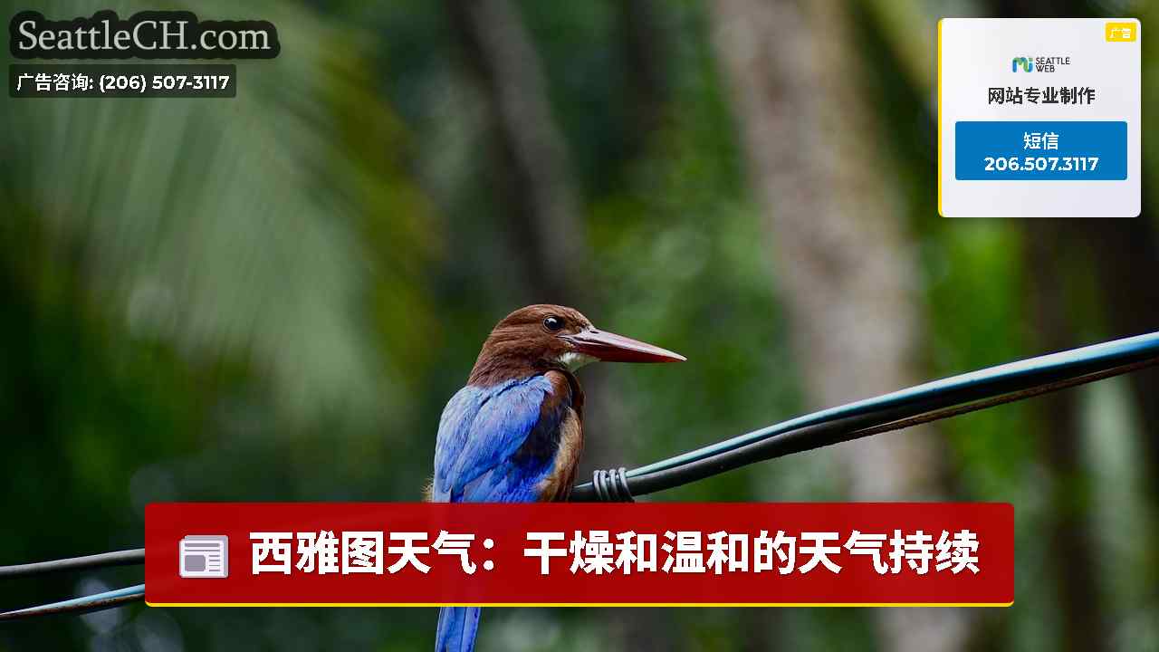 西雅图新闻 SeattleCH
