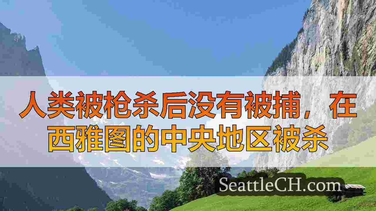 人类被枪杀后没有被捕，在西雅图的中央地区被杀