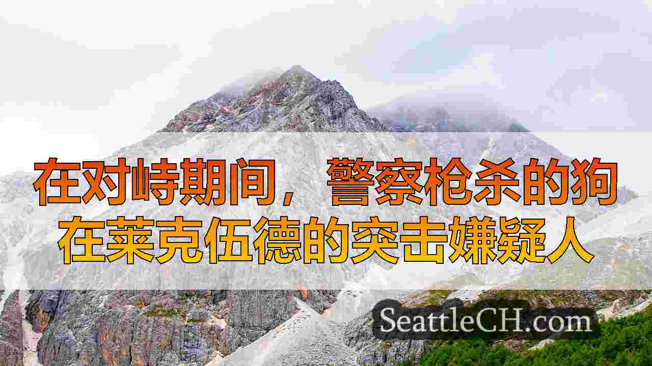 西雅图新闻 SeattleCH