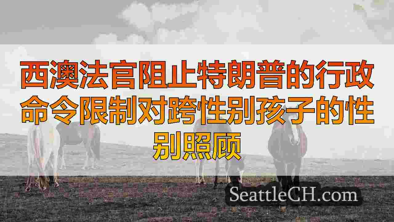 西雅图新闻 SeattleCH
