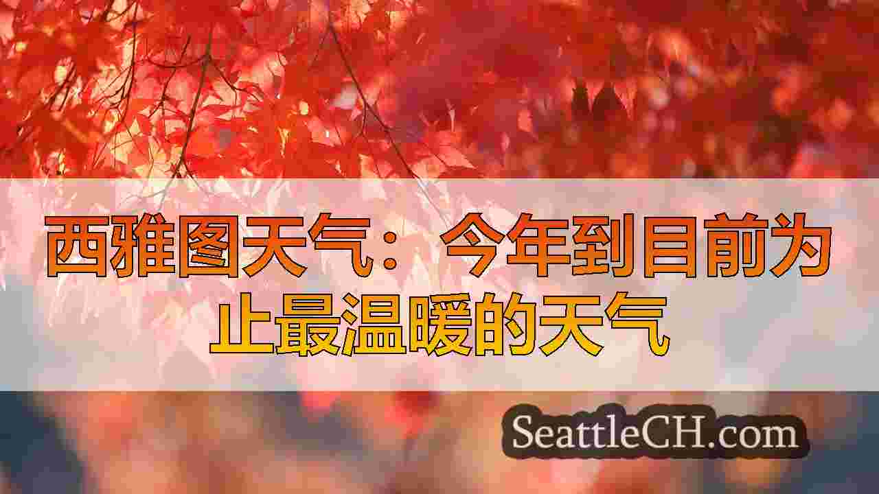 西雅图天气：今年到目前为止最温暖的天气