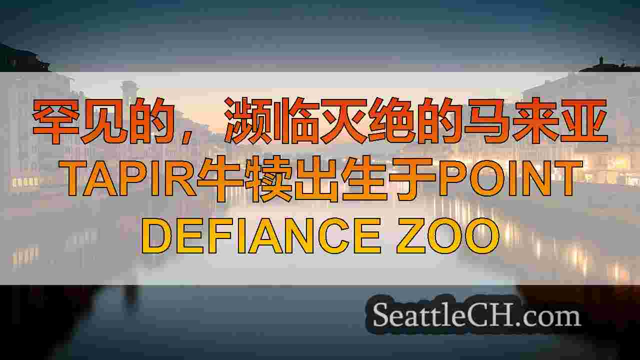 西雅图新闻 SeattleCH