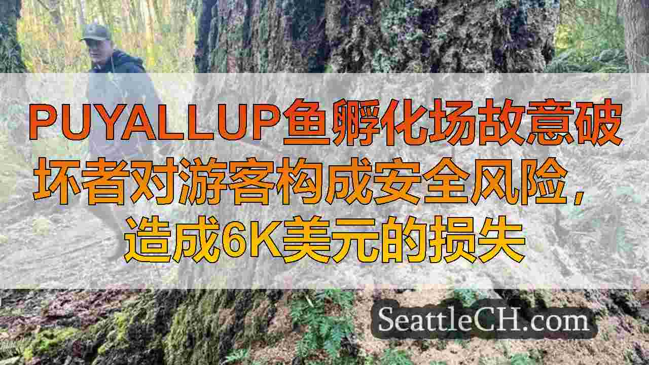 西雅图新闻 SeattleCH