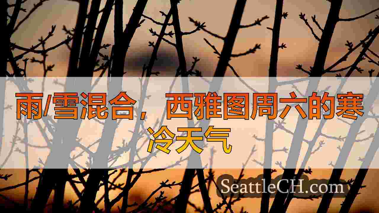 西雅图新闻 SeattleCH