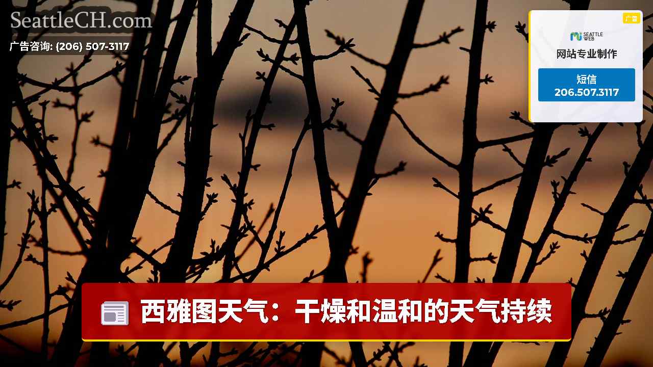 西雅图天气：干燥和温和的天气持续