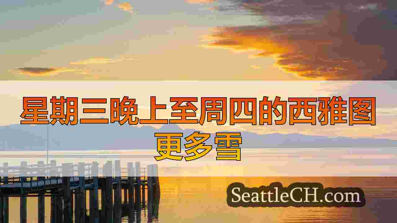 西雅图新闻 SeattleCH