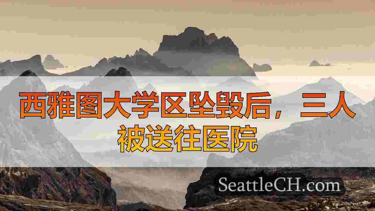 西雅图大学区坠毁后，三人被送往医院