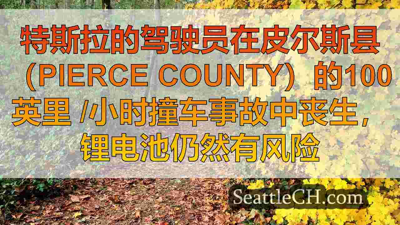 西雅图新闻 SeattleCH