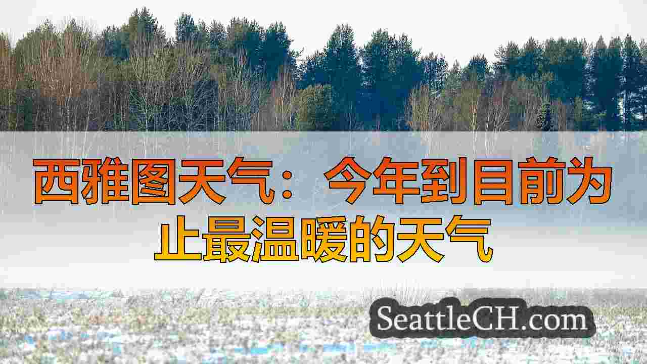 西雅图新闻 SeattleCH