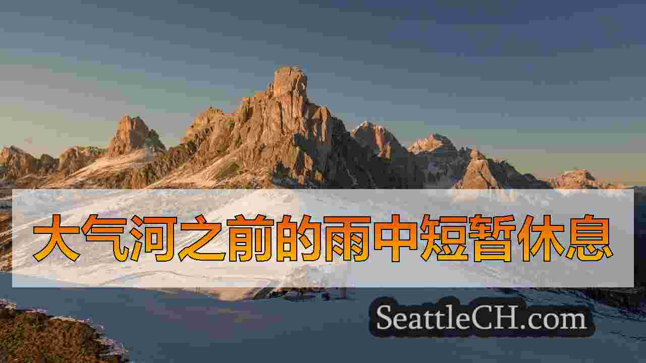 西雅图新闻 SeattleCH