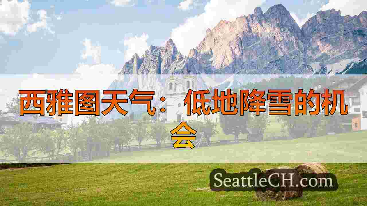 西雅图新闻 SeattleCH