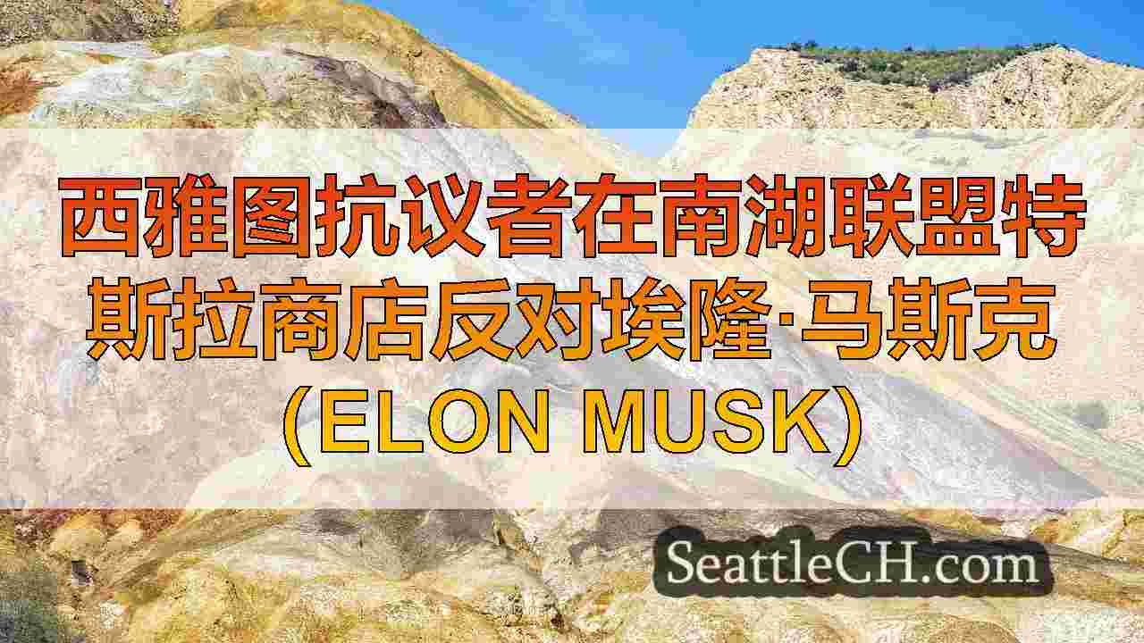 西雅图抗议者在南湖联盟特斯拉商店反对埃隆·马斯克（Elon Musk）