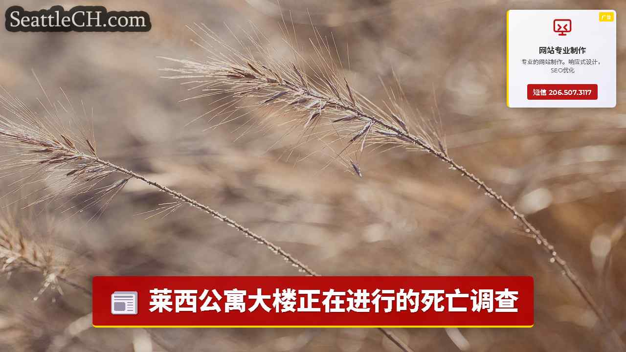 西雅图新闻 SeattleCH