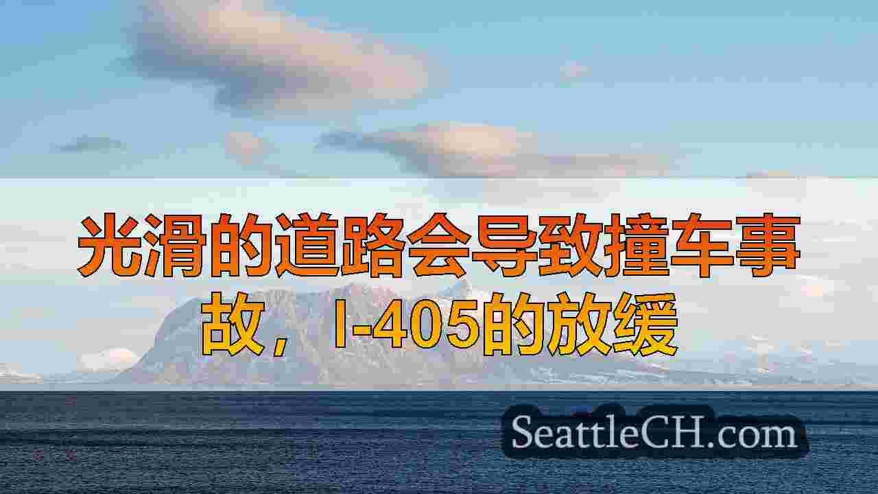 西雅图新闻 SeattleCH