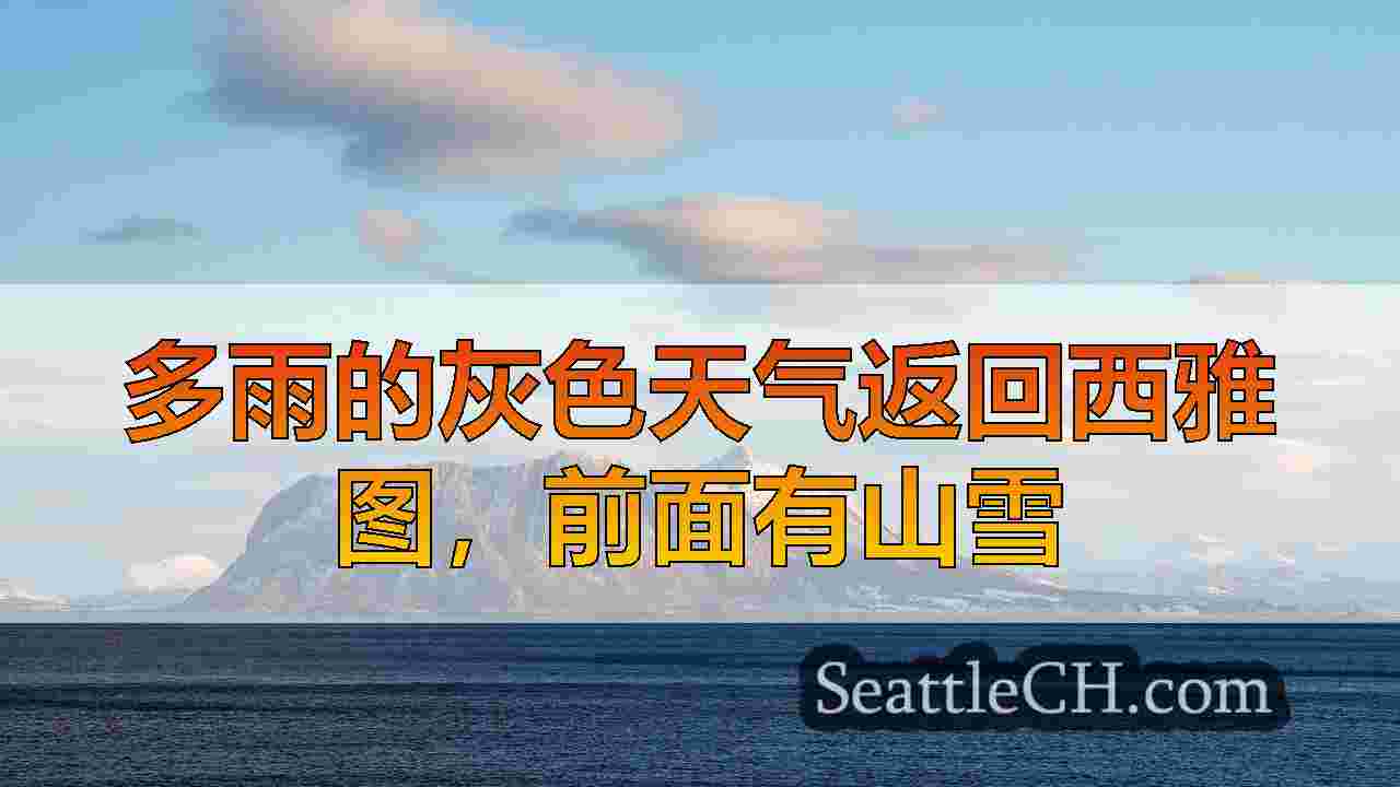 西雅图新闻 SeattleCH