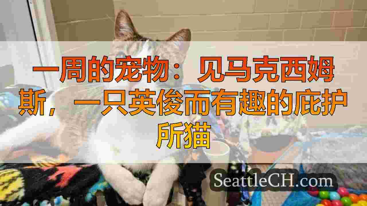 西雅图新闻 SeattleCH
