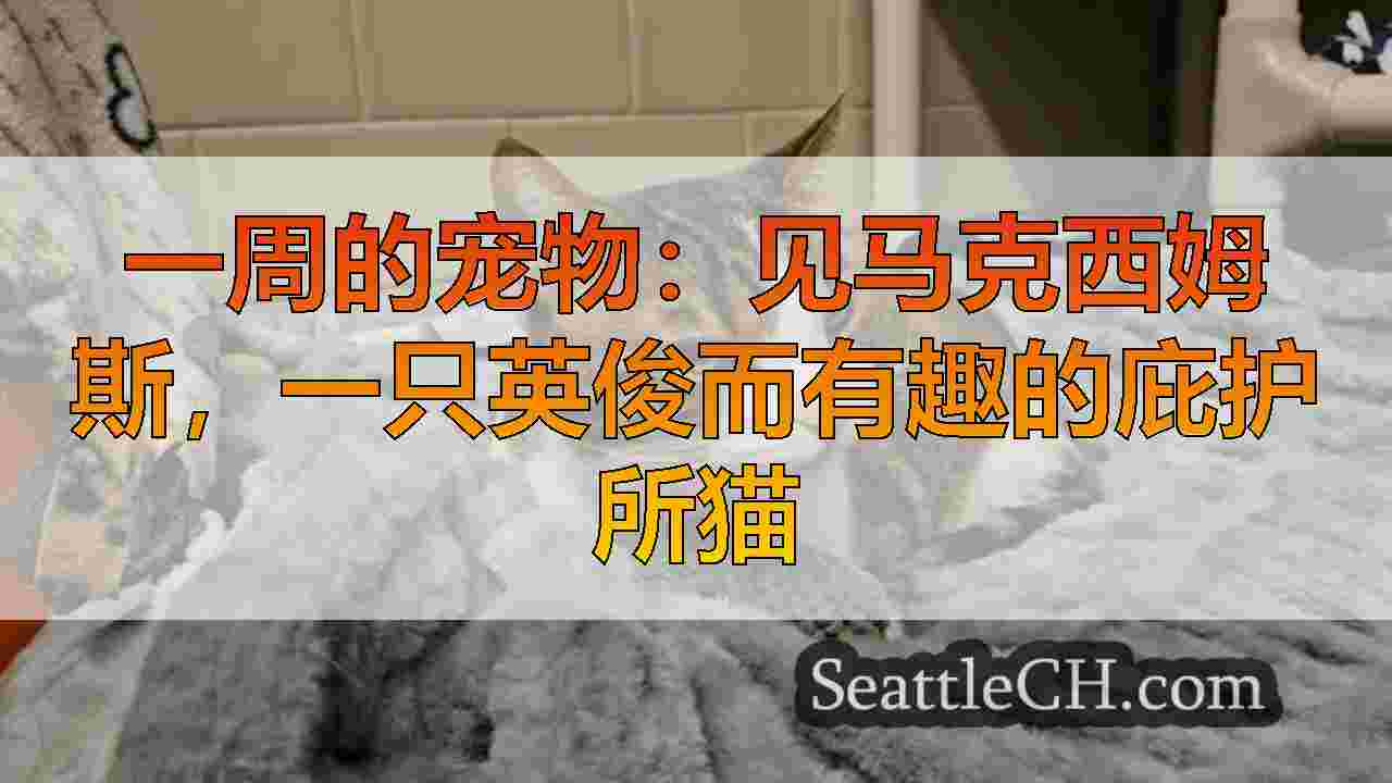 西雅图新闻 SeattleCH
