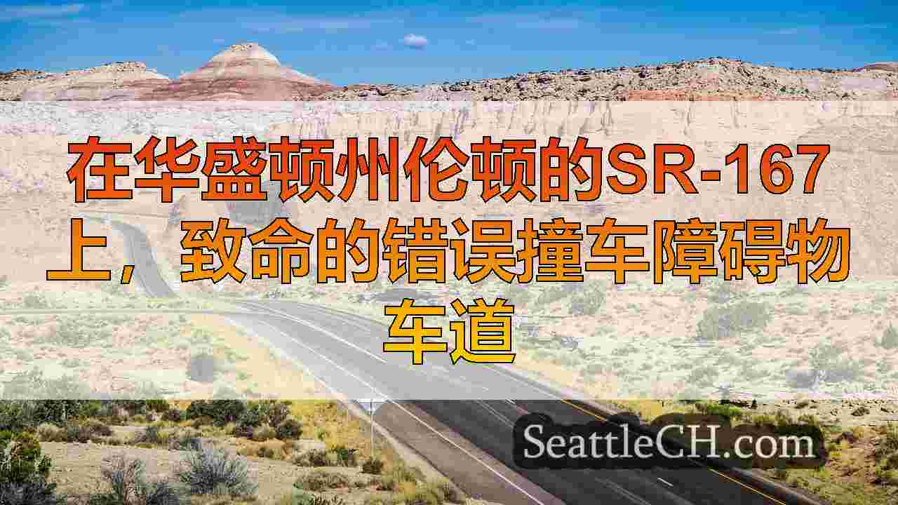 西雅图新闻 SeattleCH
