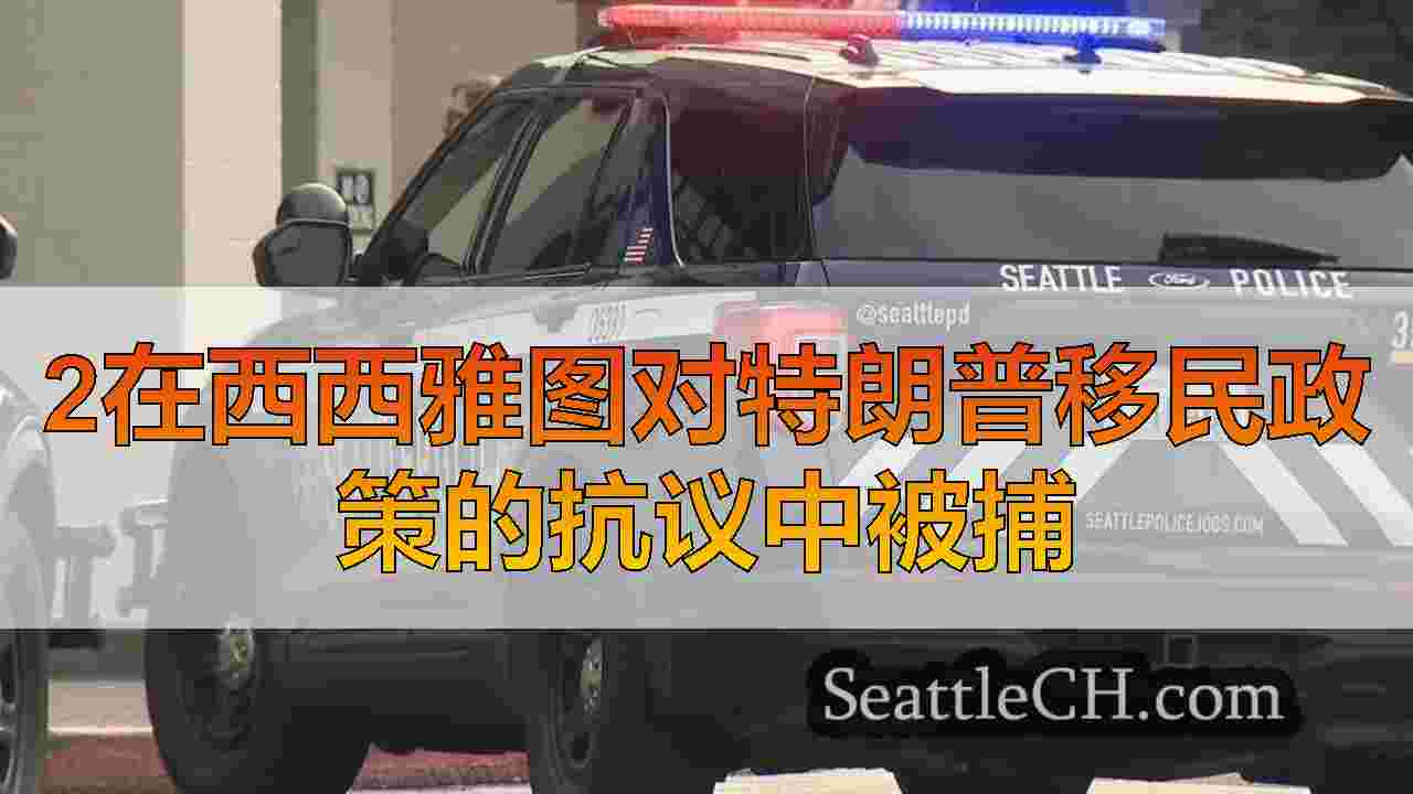 2在西西雅图对特朗普移民政策的抗议中被捕