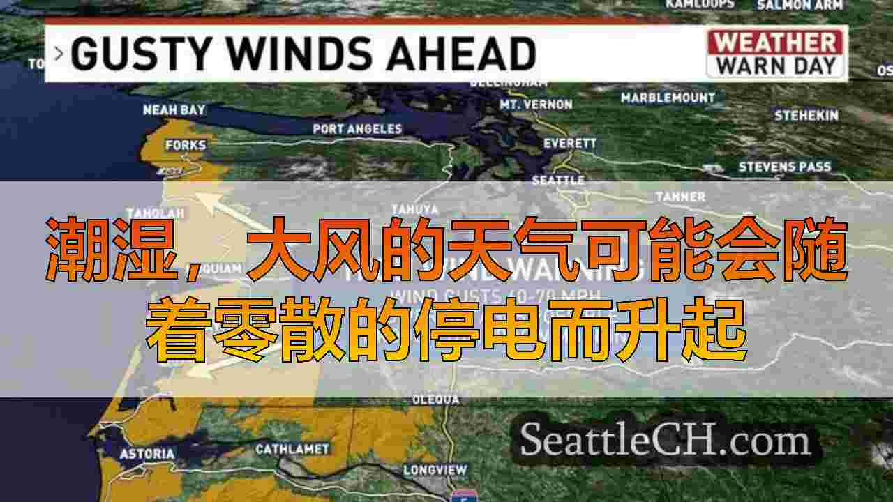 西雅图新闻 SeattleCH