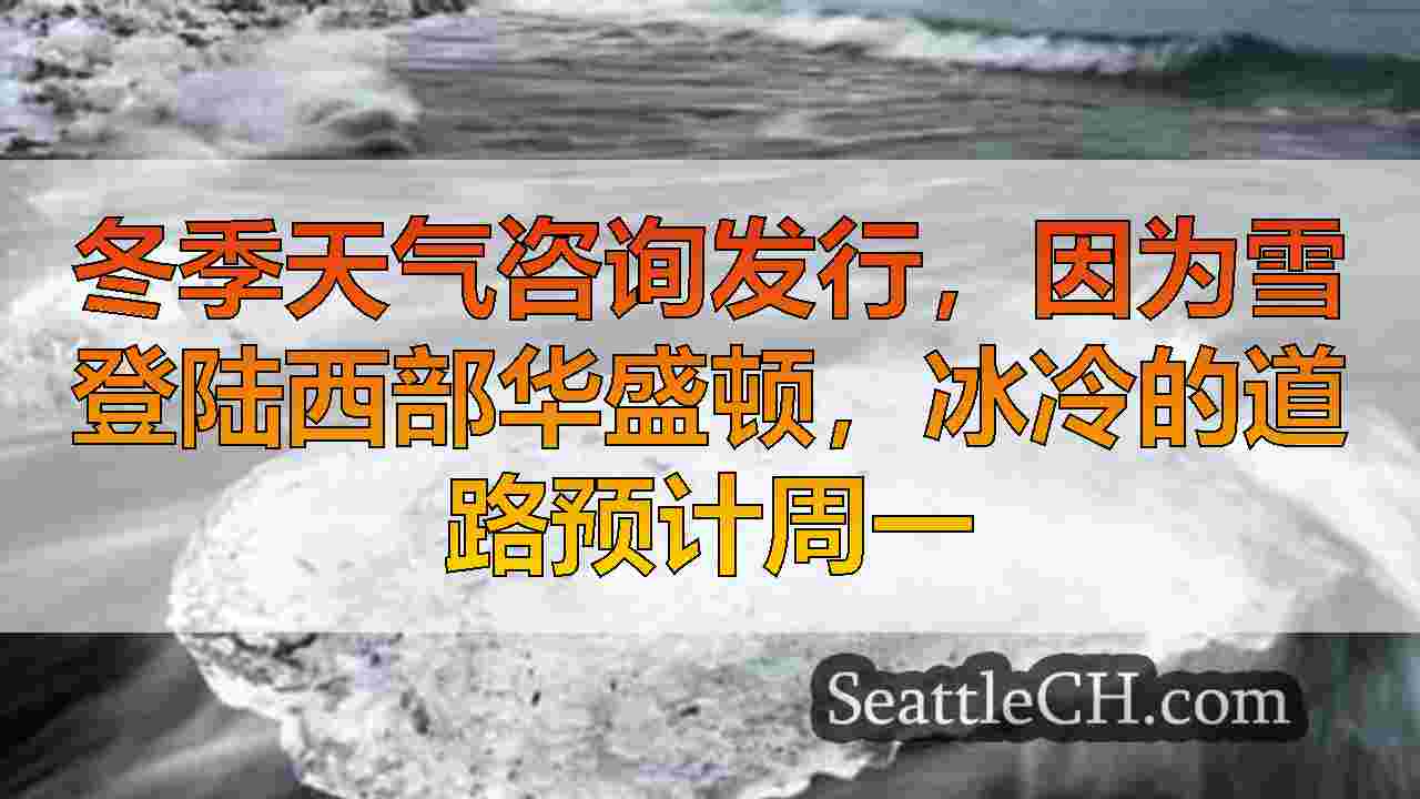 西雅图新闻 SeattleCH