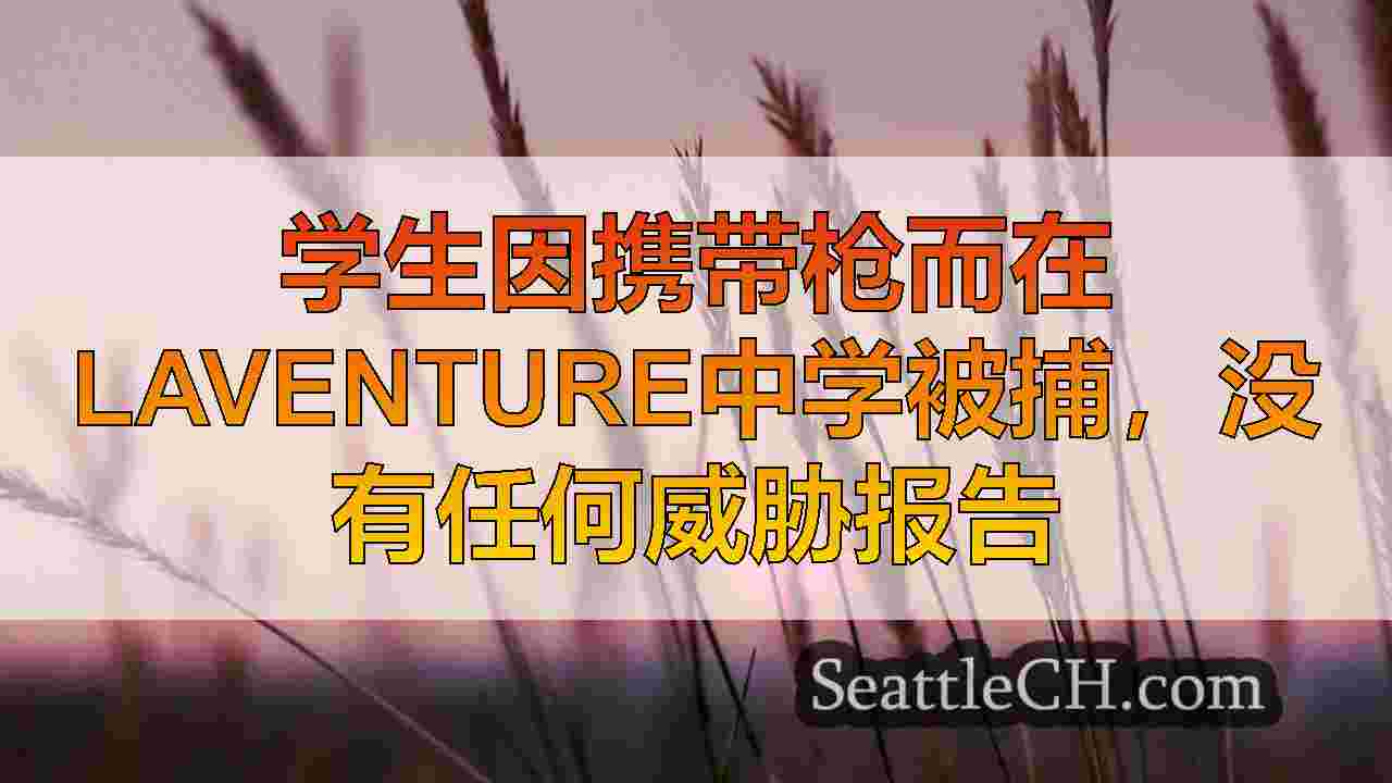 西雅图新闻 SeattleCH