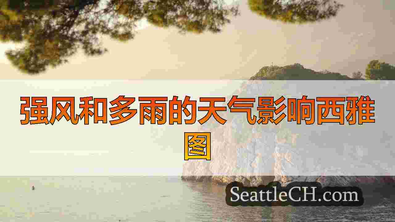 西雅图新闻 SeattleCH