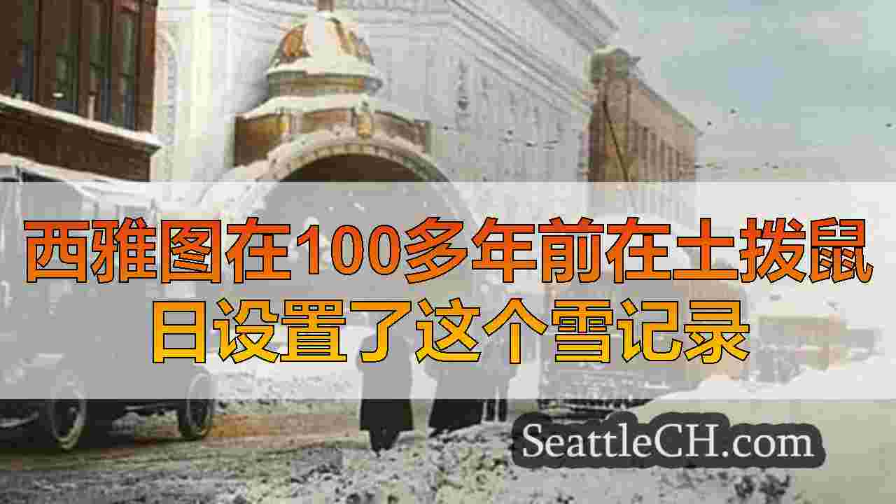 西雅图在100多年前在土拨鼠日设置了这个雪记录