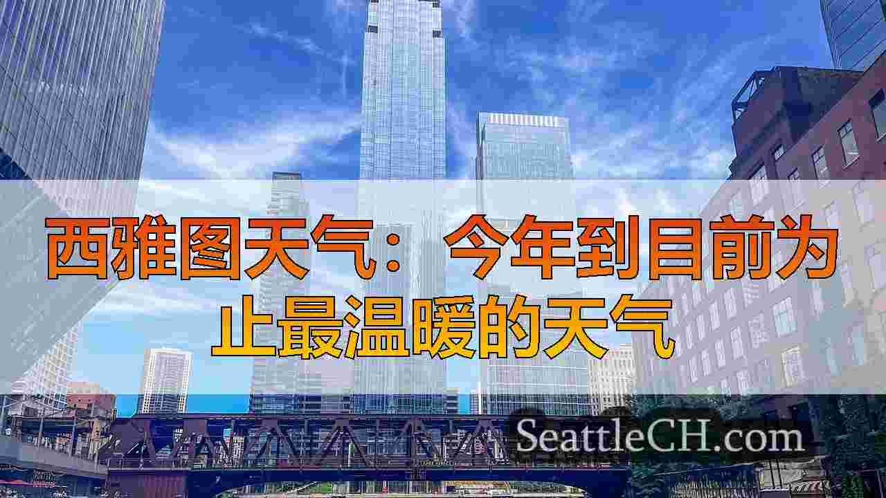西雅图新闻 SeattleCH