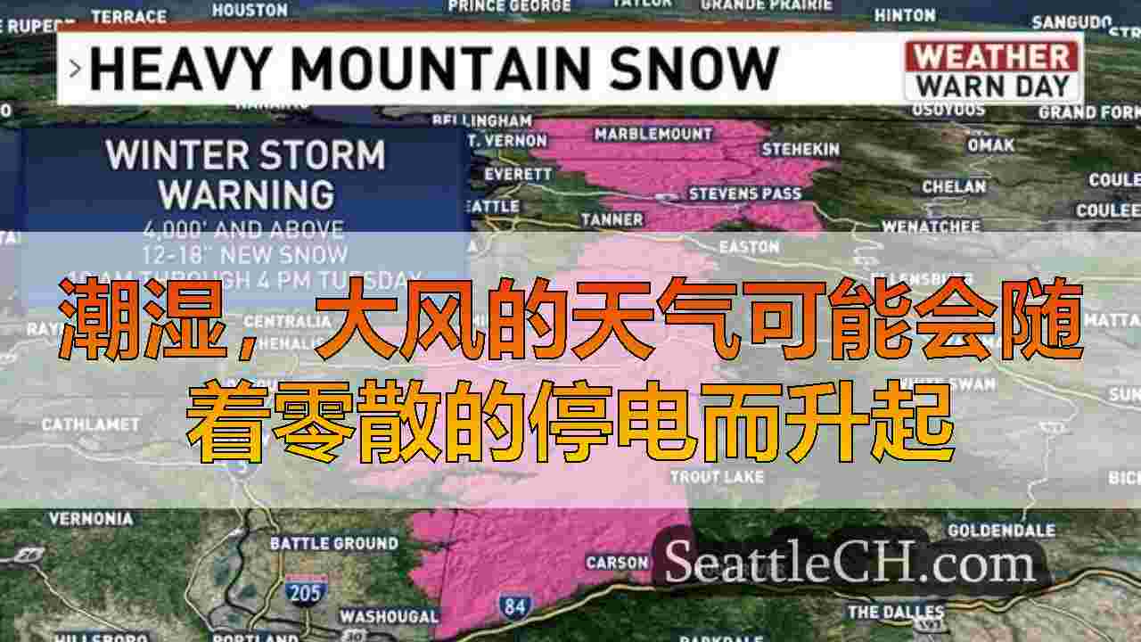 西雅图新闻 SeattleCH
