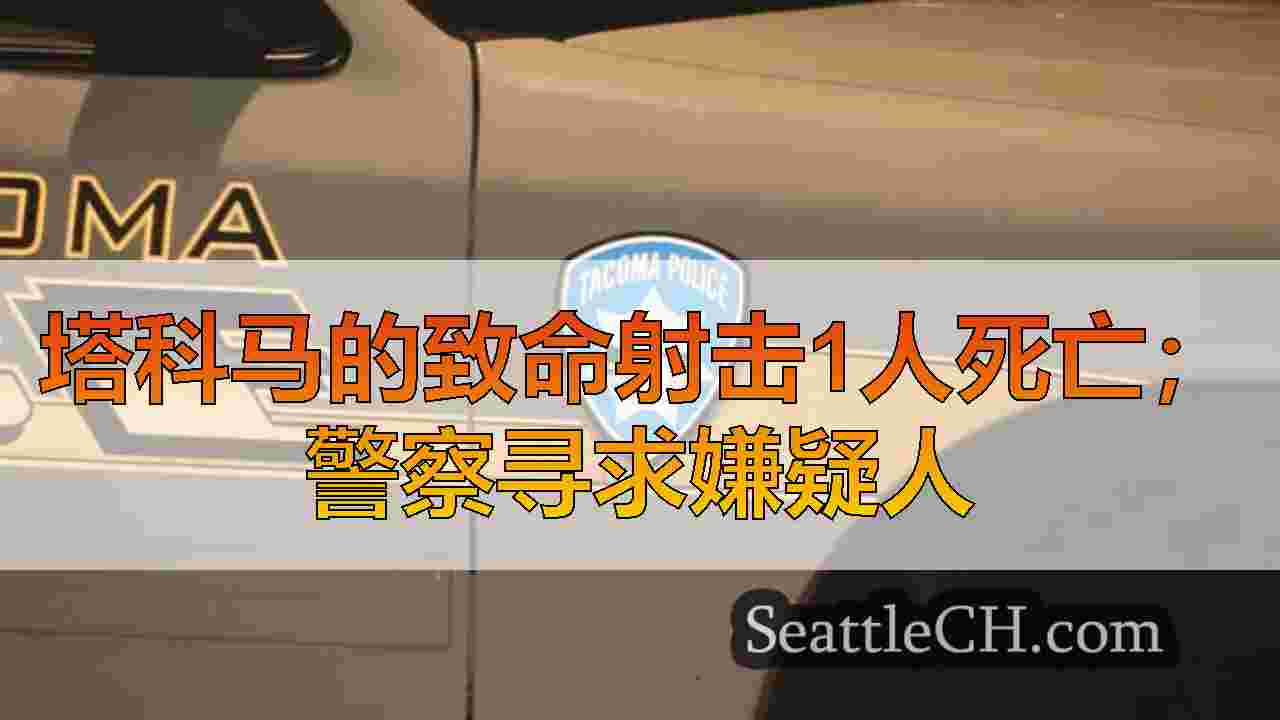 西雅图新闻 SeattleCH
